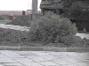 DVC00791
