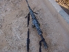 m249