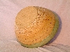 DSCF0229