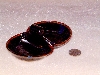 DSCF0548