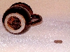 DSCF0550