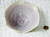 DSCN0112
