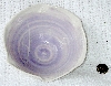DSCN0113