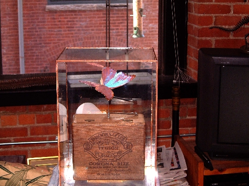 Dscf1283