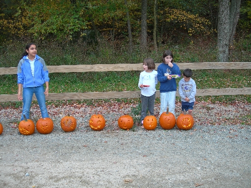 DSCN2009