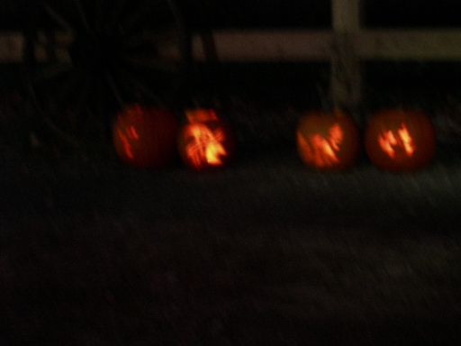DSCN2066