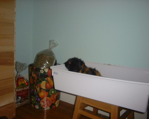 DSC01002