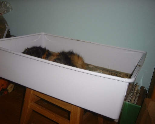 DSC01006