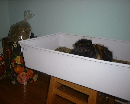 DSC01007