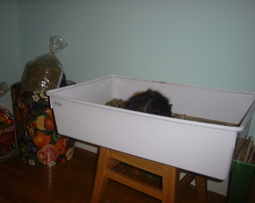 DSC01010