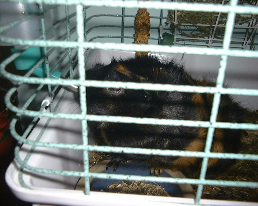 DSC01012