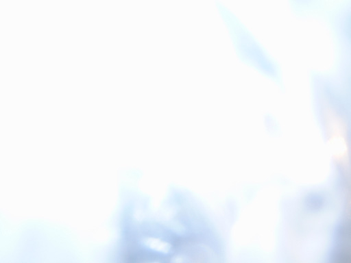 DSCF1065