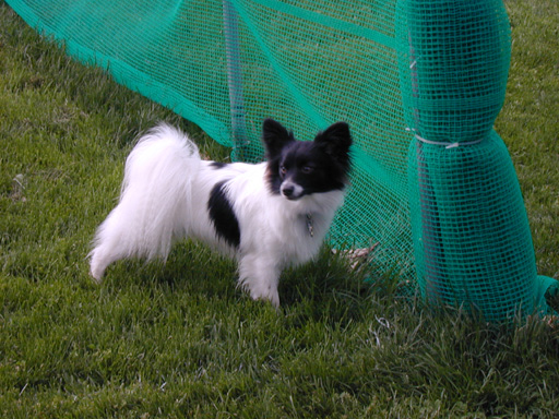 DSCN0083