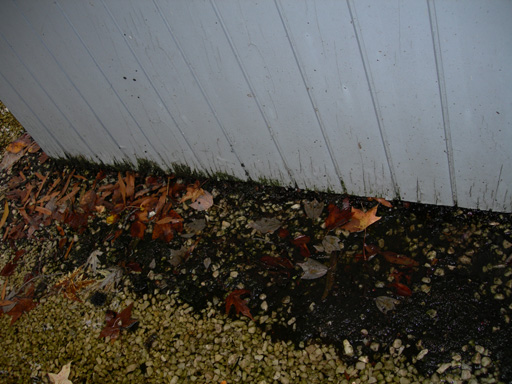 DSCN1097