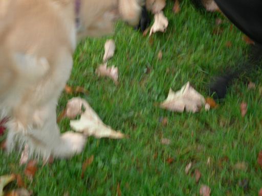 DSCN1131