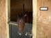 DSCN1551