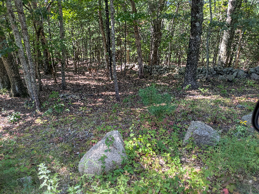 PXL_20250827_154245095