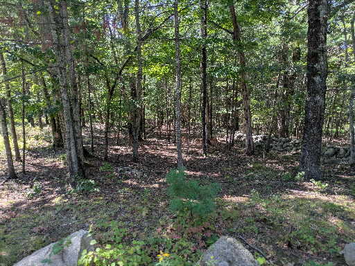 PXL_20250827_154249247