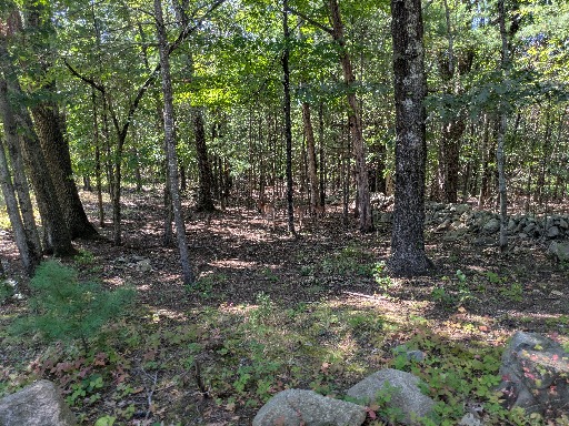 PXL_20250827_154250974