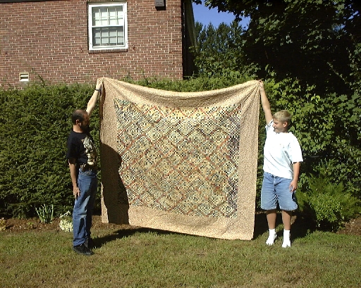 Quilt413