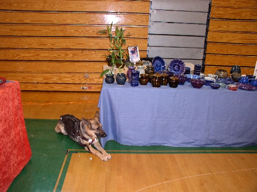 Park Schoool Display 1 