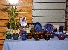 Park School Display 3