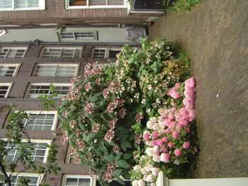 July21-065