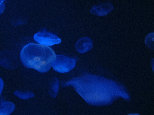 DSCF0405