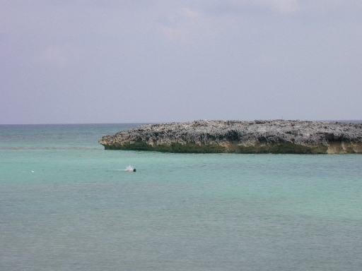 DSCN0046