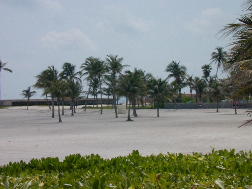 DSCN0048