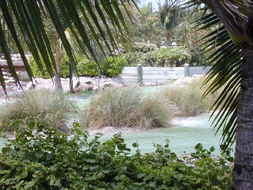 DSCN0051