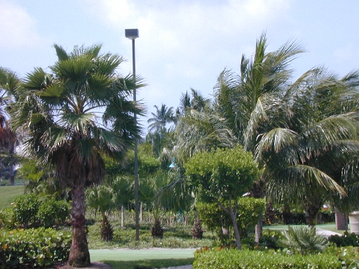 DSCN0052