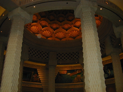 DSCN0063