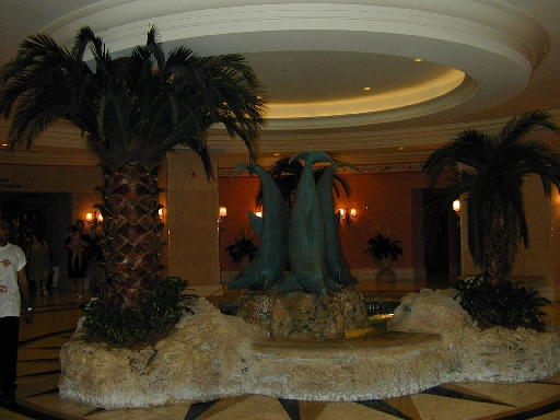 DSCN0084