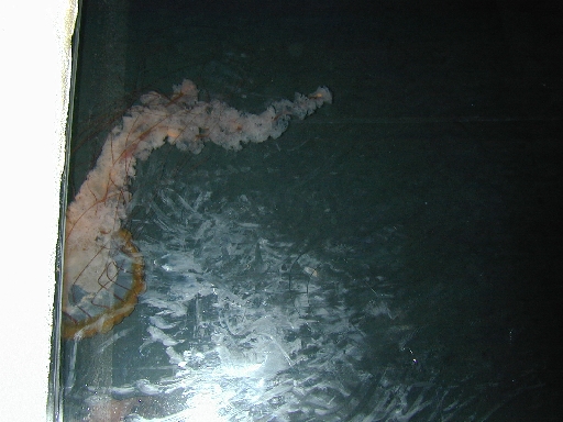 dscn0019