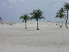 DSCN0040