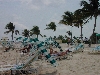 DSCN0045