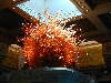 DSCN0073