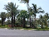 DSCN0076