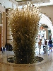 Dscn0074