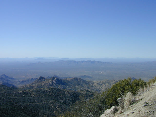 DSCN0003