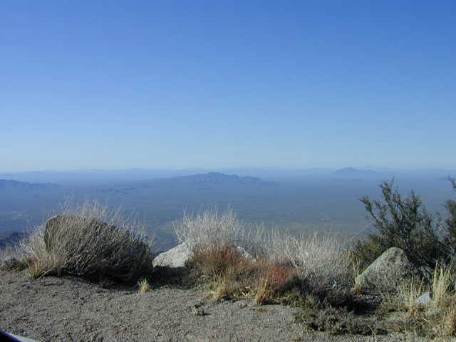 DSCN0016